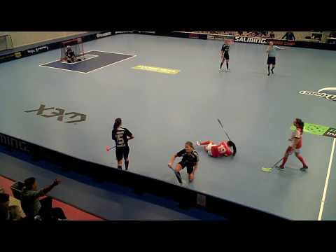 161204 Damer Div.1  Lindås IBK D1 - Partille IBS (3-4) HD Per2