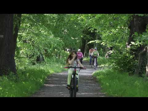 Tworków. Aleja Hroza