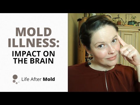 Mold Illness: Impact on The Brain