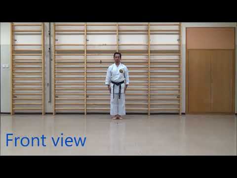 Wanshu shito ryu kata