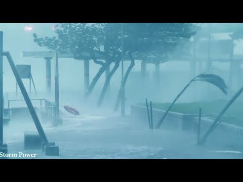 🔴 Terrible Storm Wipha in Beach - Heavy Rainstorm &amp; Powerful Thunder Sound, Very Strong Howling Wind