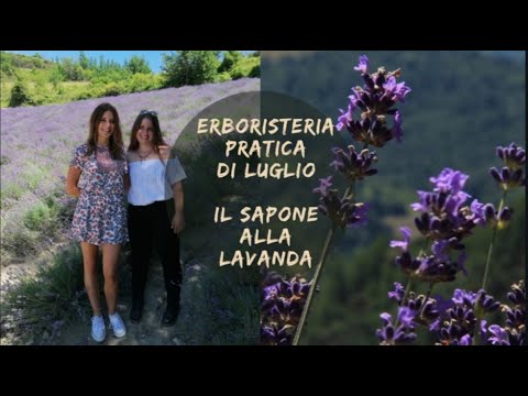Sapone alla Lavanda - Erboristeria Pratica di Luglio
