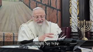 מה עושים בממ"ד או במרחב מוגן בעת אזעקה? | הרב שמואל אליהו | הלכה יומית | כ׳ סיוון תשפ״ה (הרב שמואל אליהו) - התמונה מוצגת ישירות מתוך אתר האינטרנט יוטיוב. זכויות היוצרים בתמונה שייכות ליוצרה. קישור קרדיט למקור התוכן נמצא בתוך דף הסרטון