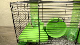 Critter Cage with a Climbing Challenge