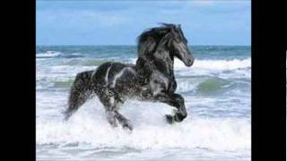 Trota Caballo Music Video