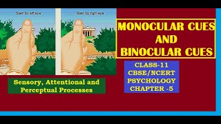 CLASS-11, PSYCHOLOGY, CHAPTER-5, Monocular Cues and Binocular Cues #cbse #ncert #class11#psychology