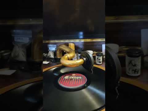 Teddy Bear Blues - Blue Bird Dance Orchestra Cameo Records #290 1922