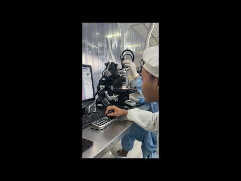 Improvement Testing Procedure for Die Placement, and Bond Line Thickness