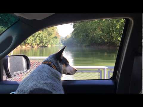 Crossing the ferry , bout 3 miles to Maple Springs turn off