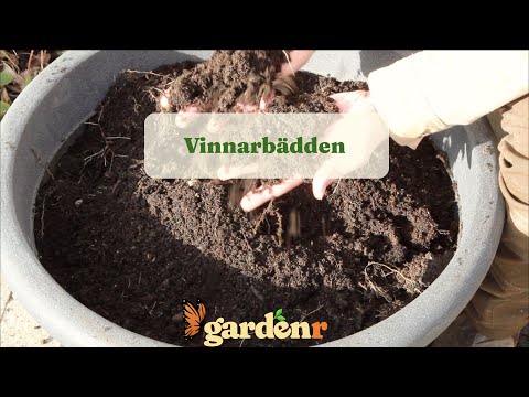 Vinnarbädden - Trädgårdshacks med GardenR