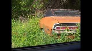 1970 dodge Challenger rusting away, left in weeds