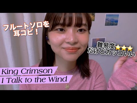 I Talk to the Wind – King Crimson【フルート演奏／Flute Cover】 🎀