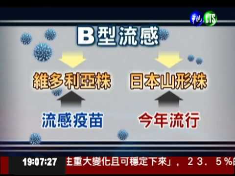 流感高峰期來了! B型流感最嚴重
