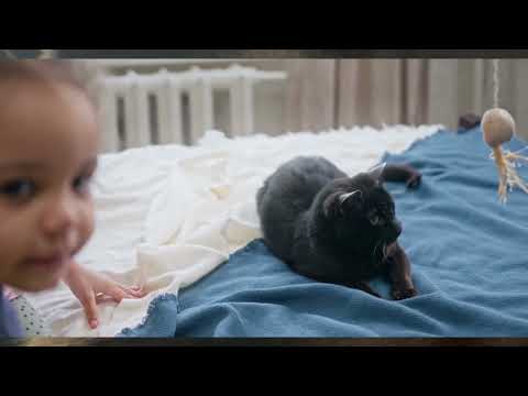 Billi and the Ghost! 😱 (Short Film)