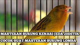 Download lagu MASTERAN KENARI JUARA JEDA 20 DETIK mp3 Download lagu MASTERAN KENARI JUARA JEDA 20 DETIK mp3