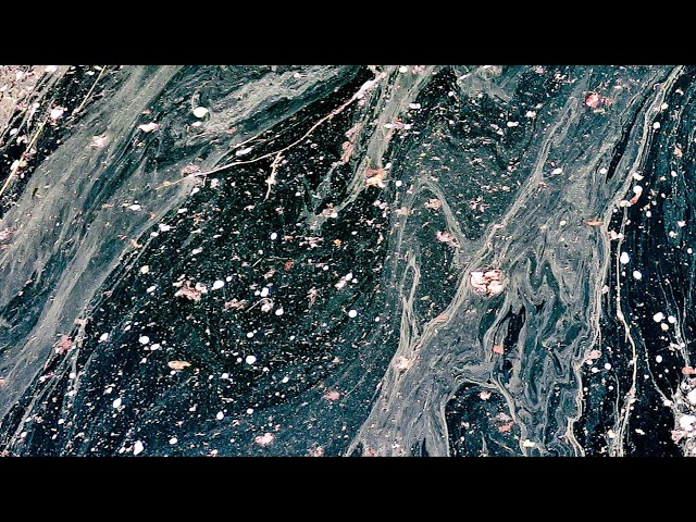 Seba & Manos - Said & Done (Original)