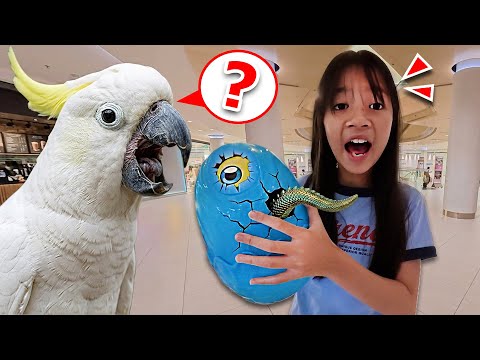 YouTube Thumbnail