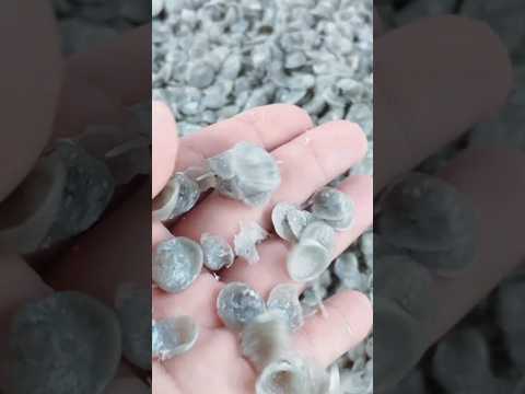 Maximalizace efektivity: Zhušťování za hranicemi lisovacího stroje