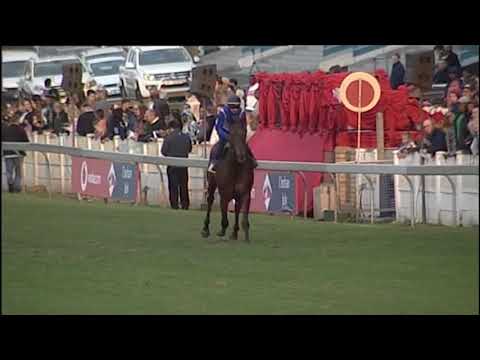 GALLOPS ELUSIVE SILVA