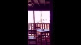 preview picture of video 'The Beach Lodge Port Aransas Rooms,Restaurant and Bar'