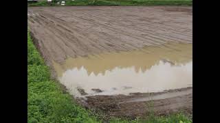 絶望米作り【１３】～ついに直播田植えができます！！　今日だけは希望が感じられる、、～