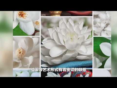 茉莉花寓意