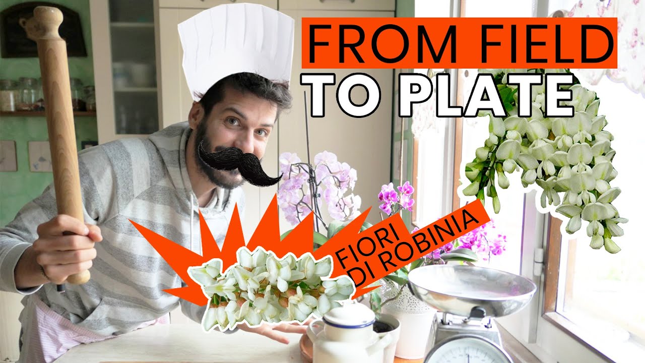 Fiori dolci, profumati e saporiti: la ROBINIA è una pianta sorprendente