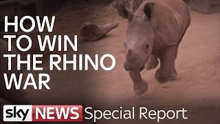 Rhino Wars: Hunting Poachers In Kruger National Park | Special Report
