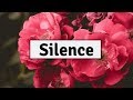 Before You Exit - Silence (Lyrics) | Panda Music