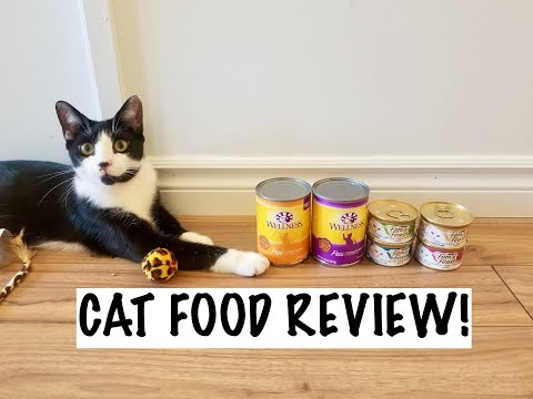CAT FOOD REVIEW (ADULT) FANCY FEAST, WELLNESS, CRAVE