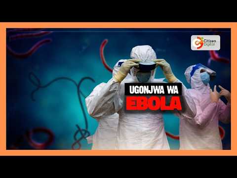 Katiba Institute yafungua kesi kusitisha ujenzi wa kituo cha karantini ya Ebola