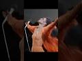 Diana Ross Owned a Rainstorm Like a Boss