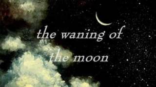 Pity Me Not - Caroline Weeks / Edna St. Vincent Millay