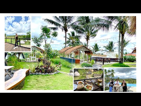 MASUKNYA FREE !! Tempat Wisata Baru Di Banyuwangi ! Bukit Kopi Osing Wonderland