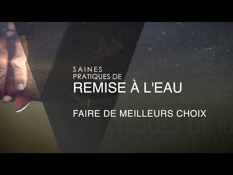 Saines pratiques de remise à l’eau : Faire de meilleurs choix