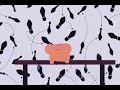 Elmo World Quiz Dancing
