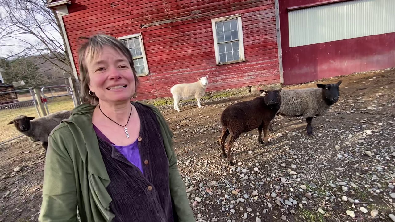 The Mansion Videos, Part One Bedlam Farm: Story Of The Sheep