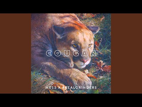 Cougar (feat. Real Grinders)