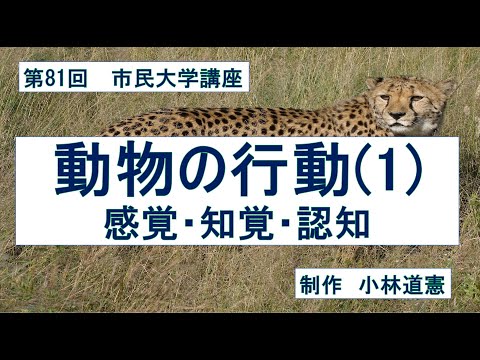 地域科学課程 動物の行動（１）ー感覚・知覚・認知