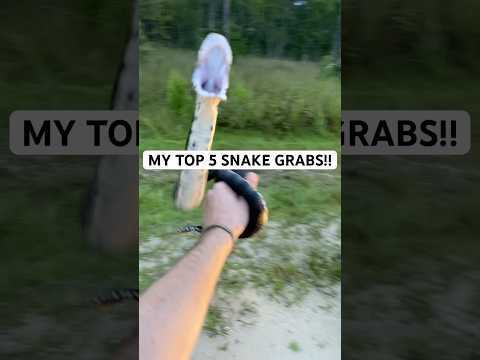 My Top 5 Snake Grabs !!! #snakes #animals #herping