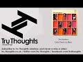 The Bamboos - Like Tears in Rain - Tru Thoughts ...