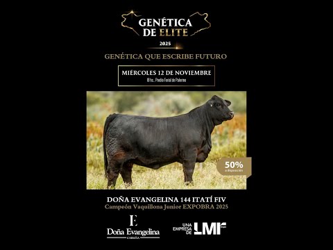 Doña Evangelina en Genética de Élite 2025
