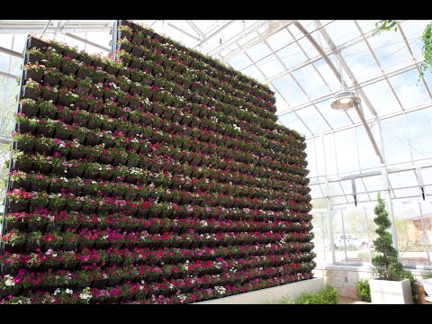 Tournesol VGP Living Wall System