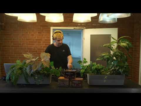 klubforward.org - Steyoyoke Showcase - Dahu (1/4)