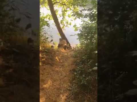 Looking down the path from Camp Site 11 to the Potomac River. It's steep!