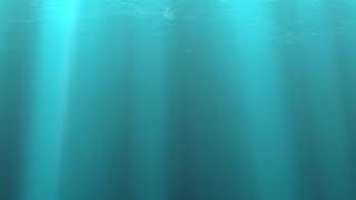 Hold On - Animal Fiction