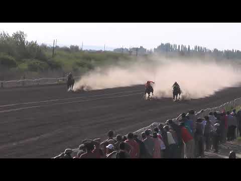 PAZITO  Club Hipico "Los Olivillos"  - Chimpay - 15/ 10/ 2022