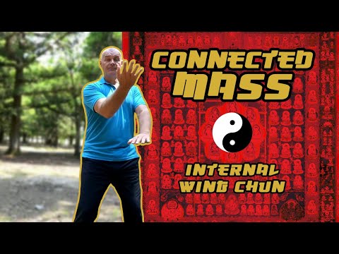 Internal Wing Chun | connected mass
