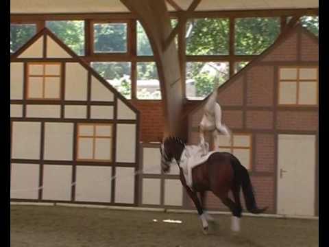 CVI** Krumke 2010 - Rikke Laumann (Kür)