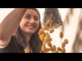 titolo video